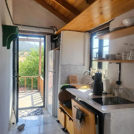 Apartman Stone House With Pool - Entire Floor Muğla